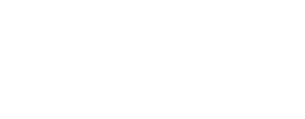 ALMiCO Properties